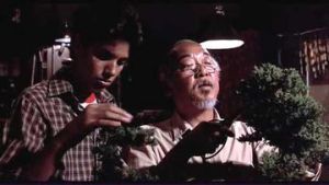 Scene from the movie with the bonsai tree